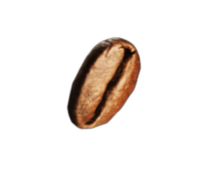 coffee bean