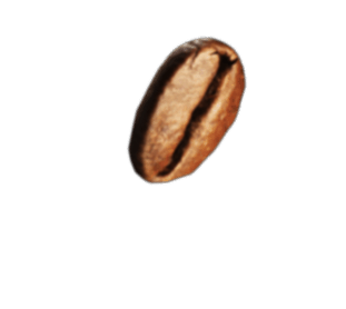 coffee bean