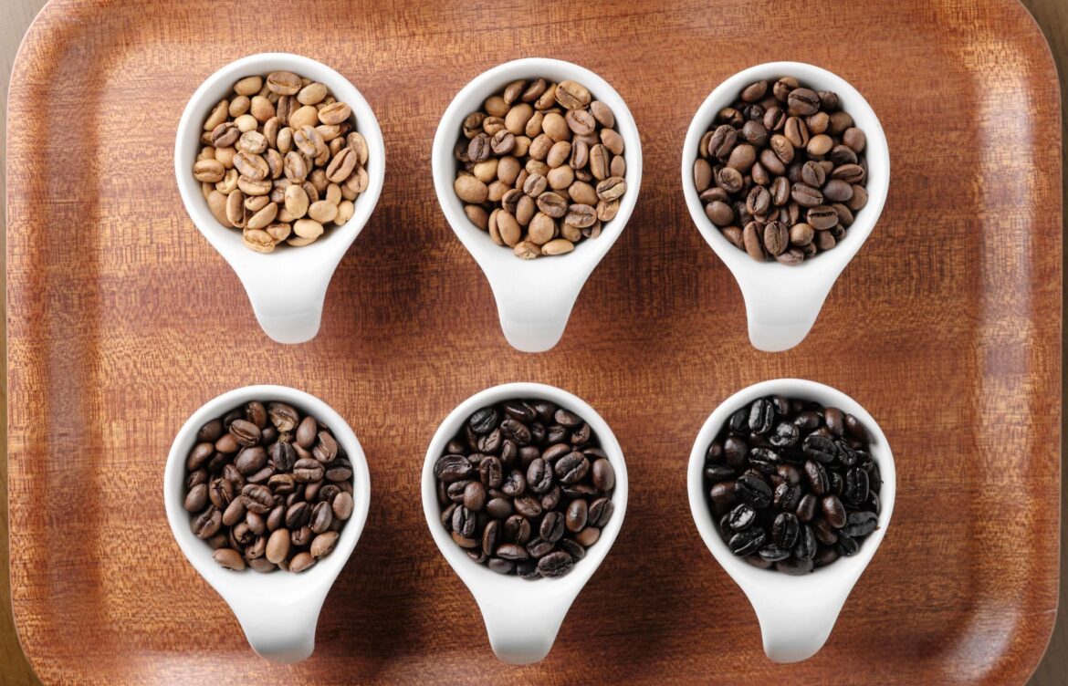 Different types of coffee beans in white bowls showing color and roast variation